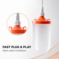 Lampe LED pour volailles 10W 48V DC IP67 à intensité variable pour élevages de poulets avec options de couleurs blanc chaud, rouge, vert, bleu pour poulaillers