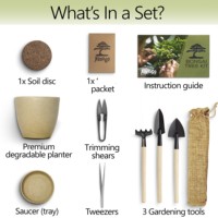 Set bonsai DIY untuk pemula, kit biji pohon Bonsai dengan pot plastik dan alat mini hadiah sempurna untuk pecinta berkebun