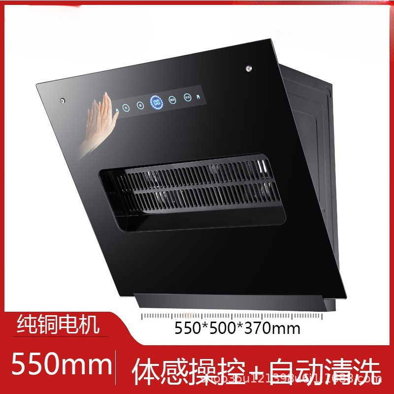 Modèle de nettoyage à détection corporelle de 550 mm