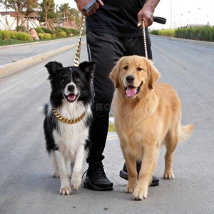 Kalung Anjing Mewah DEM/DOM Tersedia, Kalung Hip Hop untuk Hewan Peliharaan, Kit Tali Anjing, Kalung Choke, Tali Anjing, Rantai Anjing Cuban Bully Link - Product Image 6