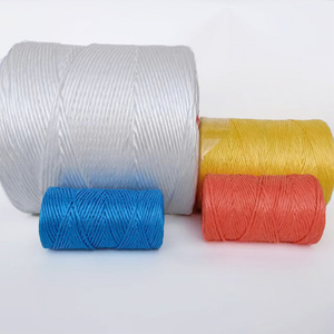 Heavy Duty Polypropylene Twine - UV Resistant <strong>Garden</strong> <strong>String</strong> for Plant Support, Tomato Tying &amp; Greenhouse Crops, Strong &amp; Durable - Product Image 5