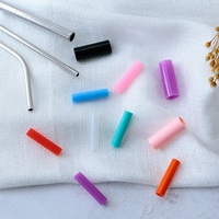 Paille à boire réutilisable en acier inoxydable coloré, droite et incurvée, avec embouts en silicone, matériau métallique durable