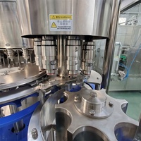 Zhangjiagang fabricante de jugo de fruta con gelatina de pulpa 3 en 1 máquina de llenado de líquidos calientes