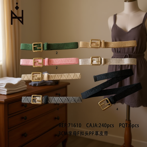 Cintura in PP con fibbia a F da 3 cm, 6 pezzi in colori assortiti, cintura alla moda da donna - Product Image 2