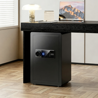 Caja Fuerte Doméstica Mini Personalizable, Caja de Seguridad Pequeña para el Hogar con Contraseña, Huella Dactilar y Función WiFi para Guardar Dinero