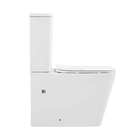 WC en céramique deux pièces avec siphon en P, double chasse, pour hôtels, sanitaires en porcelaine, vente en gros