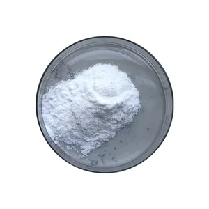 Polvo de piridoxina HCL, vitamina B6, suministro directo de fábrica