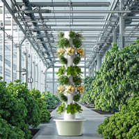 Tour aéroponique de culture sans sol intelligente Système de culture de tour hydroponique d'agriculture verticale pour légumes et fruits Économisez de l'espace