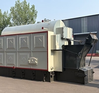 Chaudière à vapeur industrielle à biomasse et charbon à grille de chaîne entièrement automatique série DZL