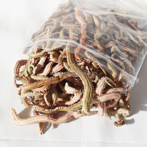 เหยื่อตกปลาแบบแห้งคุณภาพพรีเมียม ทำจากหนอนทะเล สำหรับตกปลาในน้ำเค็ม เหยื่อแห้งที่มีประสิทธิภาพ - Product Image 2