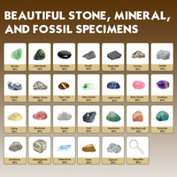 Fabricant de kits d'apprentissage ODM/OEM BIG BANG SCIENCE |   Kit d'échantillons de géologie scolaire, ensemble éducatif de roches et de pierres précieuses