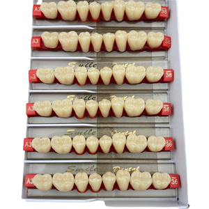 Dentier Dents postérieures Fausses dents dentaires Dents en résine acrylique à 2 couches - Product Image 2