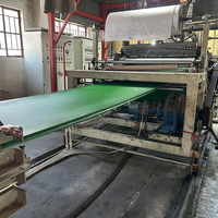 Línea de Extrusión Semiautomática para Alfombras de Césped Sintético PE Gold Rush con PLC y un Solo Tornillo para Plantas de Fabricación de Alfombras para Hogar, Jardín y Puertas