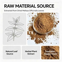 Extrait de feuille de Melissa officinalis en poudre 10:1, 2%-10% d'acide rosmarinique, extrait de mélisse, fourni par l'usine