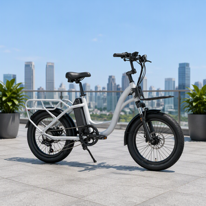 <span class=keywords><strong>จักรยาน</strong></span>ไฟฟ้าบรรทุกสัมภาระ<span class=keywords><strong>ขน</strong></span>าด 20 นิ้ว 500W 48V10.4Ah <span class=keywords><strong>จักรยาน</strong></span>ไฟฟ้าบรรทุกในเมือง 7 สปีด เบรกดิสก์แบบกลไก พร้อมตะแกรงหน้าและหลัง - Product Image 3