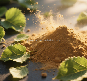 Органический 5% экстракт листьев тутового дерева, оптовая продажа, сертифицированный Халяль, конкурентоспособная цена, растительный экстракт - Product Image 4