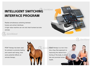 Giảm đau và viêm pemf trị liệu Physio Magneto pmst Vòng Pro Max giảm đau Máy trị liệu ngựa - Product Image 2