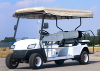 Voiturette de golf électrique à batterie lithium, chariot de golf électrique, véhicule touristique électrique