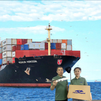 Shenzhen uluslararası lojistik navlun iletici DHL/TNT/UPS/Fedex çin'den abd avustralya kanada fransa abd nakliye acentesi