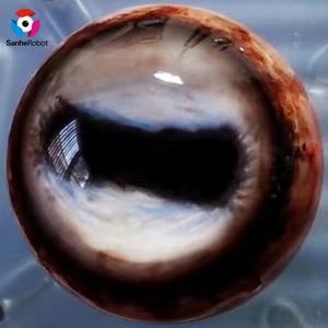 Animatronic Universal Eye Model decoración de centro comercial - Product Image 5