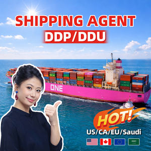 आर्थिक लाइन लॉजिस्टिक्स सेवाएं एफसीएल एलसीएल डेल ने फेडेक्स एक्सप्रेस परिवहन समुद्री हवाई द्वार से डोर शिपिंग एजेंट - Product Image 1