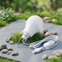 Ampoule LED USB DC5V à brancher avec interrupteur marche/arrêt 5W/7W, design crochet, en plastique, CRI80, 630 Lumens, certifiée 90 Lm/W, pour dortoir/lumière de nuit