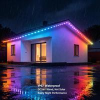 Lampes d'extérieur permanentes de longueur personnalisée pour les maisons et les bâtiments commerciaux