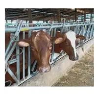 Anti Slip Rubber Dairy Yards, Cow Horse Floor Mat