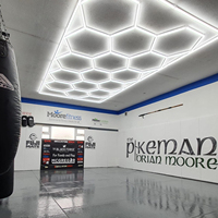 Barre d'éclairage LED SUEZ pour atelier de lavage et de detailing automobile - Lampe de showroom automobile connectable pour bureau et hôtel, étanche IP54, lumière du jour 6500K