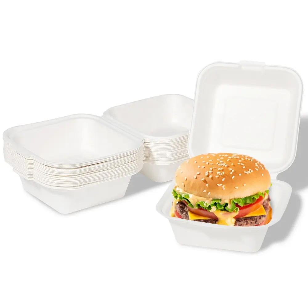 6 Inch Square White Biodegradable Clamshell Sugarcane Bagasse Clamshell Small Bagasse Hamburger Clamshell