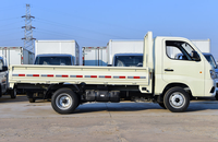 FOTON 4x2 2 Tonnes Mini-camionnette à cabine simple Diesel Mini-camion de fret à vendre