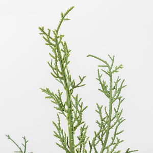 Co-Arts Scene Mini sapin de Noël en pot de 18 pouces pour bureau - Product Image 3