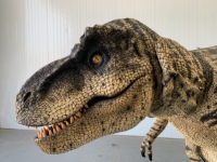 Costumes de dinosaures personnalisés, dinosaures animatroniques, modèles de dinosaures animatroniques, costumes de dinosaures électriques animatroniques