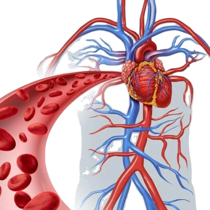 Fisioterapia e dispositivo de reabilitação para cardiovascular,angina, insuficiência cardíaca/ataque, rim, ED, acidente vascular cerebral, lesão esportiva