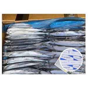 pacific saury, pacific saury Suppliers and Manufacturers at