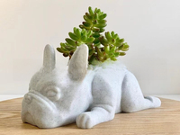 Nouveauté : Joli pot à succulentes en forme de chien, ornement artisanal en résine, mini pot de fleurs pour la décoration de la maison, du jardin et du bureau