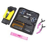 Ensemble de ciseaux professionnels pour couper les cheveux, ciseaux de barbier, kit d'éclaircissage des cheveux, outil de coiffure pour salon et maison