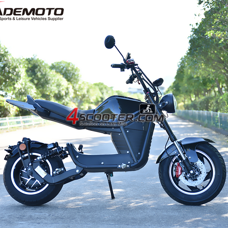 EEC 60V 20AH 2000W sinek leopar elektrikli chopper trike