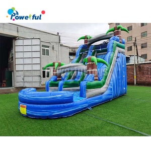 Tobogán Acuático Inflable Comercial con Forma de Palmera, Tobogán Inflable con Piscina - Product Image 1