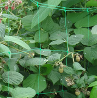 Filet de treillis en rouleau pour plantes, stabilisé aux UV, pour légumes grimpants, filet de soutien pour plantes, vente en gros