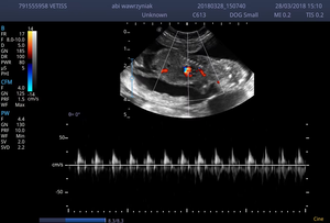 Ecógrafo Doppler Color Portátil Sonoscape E2 <span class=keywords><strong>ProVet</strong></span>, Máquina de Imagenología Digital para Clínica Veterinaria y Hospital - Product Image 6