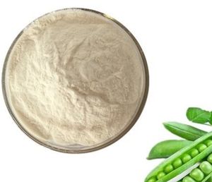 Polvo aislado de proteína de haba suministro de fábrica ISO - Product Image 3