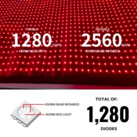 Tapis de thérapie corporelle complet 80x180cm, portable et pliable, grande taille, double puce, lumière infrarouge rouge 660 850nm pour le soulagement de la douleur, 160cm