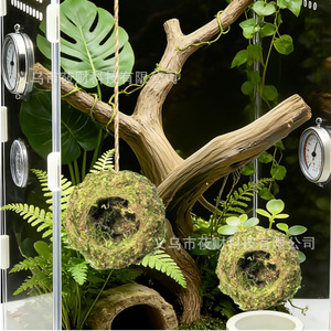 Nascondiglio per Ragni Saltatori, Casetta Artigianale in Muschio Naturale per Rettili, Decorazione per Terrario di Ragni - Product Image 1