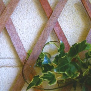 Treillis en bois cm 120x180h - Product Image 4