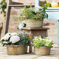 Décoration de patio de style rustique pour la maison et le jardin, pots à fleurs succulentes, pots à plantes ovales en métal bon marché avec poignées métalliques