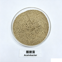 Poudre de culture microbienne Acetobacter 10 milliards UFC/g, bactéries acides acétyliques dédiées à la fermentation acétique du vinaigre industriel