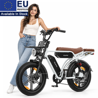 Vélo électrique rétro M9 250W 48V 35Ah Double batterie 60Nm Autonomie 130km Freins à disque hydrauliques Shimano 7 vitesses