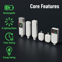Guirlande lumineuse d'extérieur rechargeable par USB, réutilisable, écologique, avec minuterie et intensité réglable, compatible festivals, mariages, patios