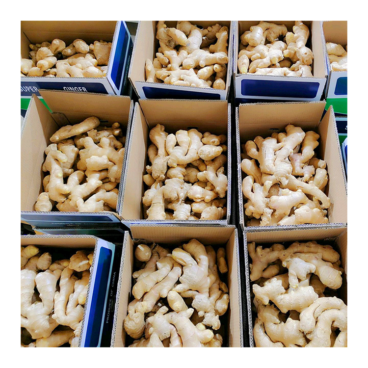 Hot Sale 80 150g Ginger Wholesale